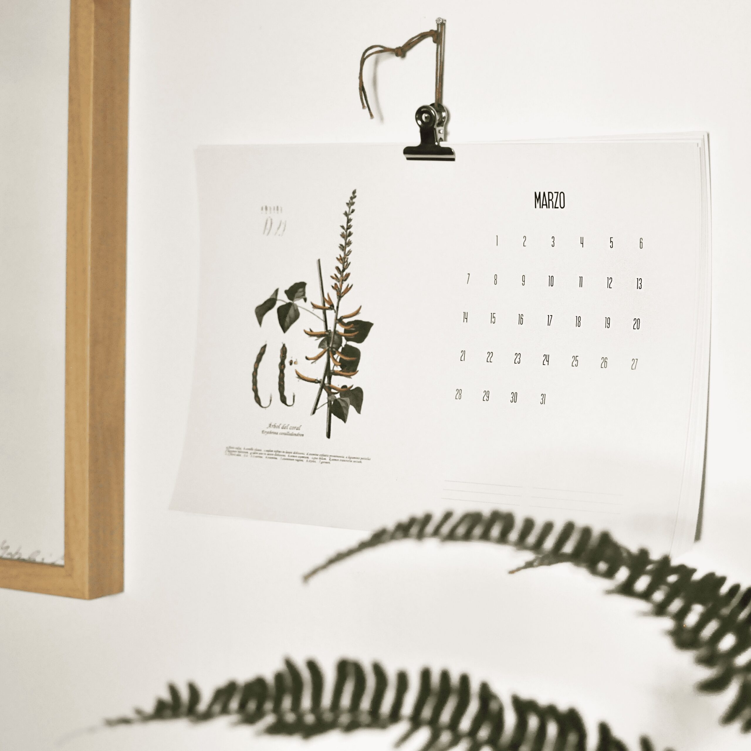 Calendario botánico